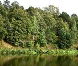 Бурение скважин ударно канатным способом - тип 2