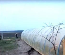 Бюджетная теплица - модель 1