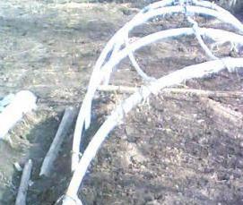 Бюджетная теплица - модель 2