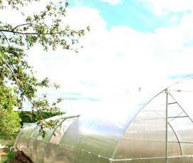 Бюджетные теплицы с армированной пленки - модель 4