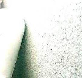 целлюлозные жидкие обои - вариант 4