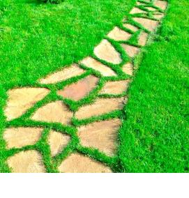 цемент для дорожек на даче - вариант 3