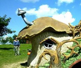 цемент из природного материала - тип 4