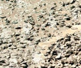 цемент м350 - тип 2