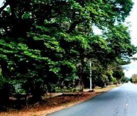 цемент м 600 - модель 2