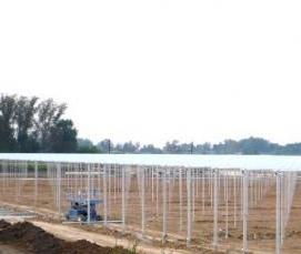 чеховские теплицы - тип 3