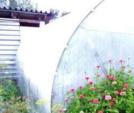 чеховские теплицы - тип 2