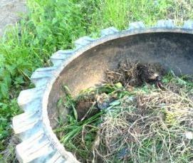 черная теплица - вариант 1