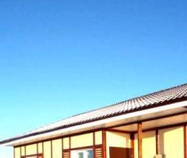 цсп 30 мм - вариант 4