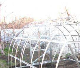 Дачные теплицы из поликарбоната с усиленным каркасом - тип 1