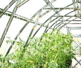 Дачные теплицы из поликарбоната с усиленным каркасом - тип 3