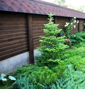 Декоративное озеленение - вариант 4