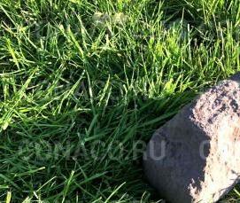 Декоративный бордюрный камень - тип 2