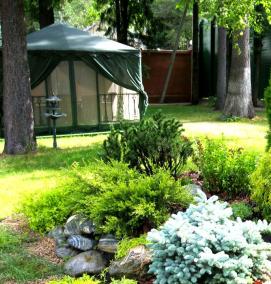 Декоративный ландшафтный дизайн - модель 3