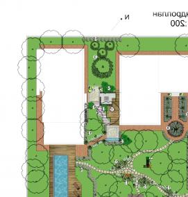 Дендроплан - тип 3