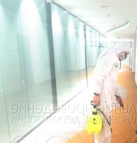 Дератизация и дезинсекция на предприятии - модель 1