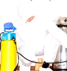 Дератизация и дезинсекция на предприятии - модель 4