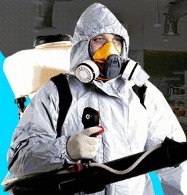 Дератизация и дезинсекция на предприятии - модель 3