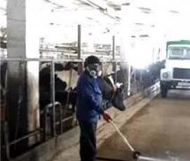 Дератизация и дезинсекция школы - тип 4