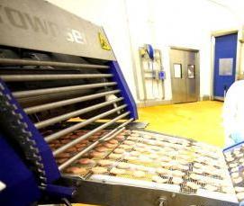 Дератизация на пищевом производстве - вариант 1