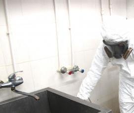 Дератизация пищевых предприятий - вариант 1