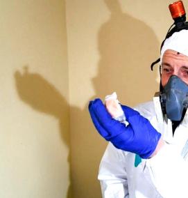 Дератизация жилых домов - модель 1