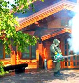 Дератизация жилых домов - модель 3