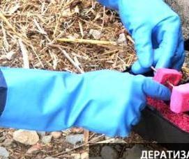 Дератизация животноводческих помещений - модель 3