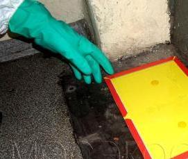 Дератизация животноводческих помещений - модель 2