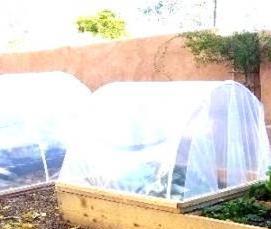 Деревянная мини теплица - тип 1