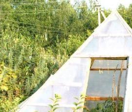 Деревянная теплица односкатная - тип 3