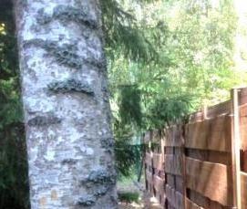 Деревянный сруб для дачи - тип 1