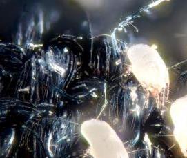 Дезинфекция чесоточного клеща - модель 3