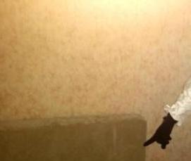 Дезинфекция дивана - вариант 4