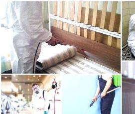 Дезинфекция дивана от клопов - тип 3