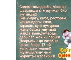 Дезинфекция комнаты от клопов - вариант 3