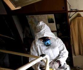 Дезинфекция квартиры от бактерий - вариант 1