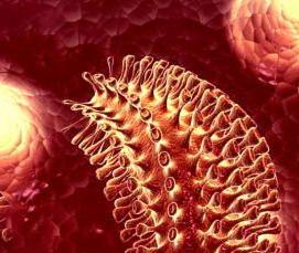 Дезинфекция квартиры от вирусов - вариант 2