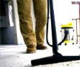 Дезинфекция от блох в квартире - модель 1