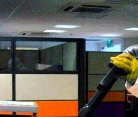 Дезинфекция от грибка в квартире - модель 2