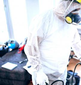 Дезинфекция от крыс - вариант 3