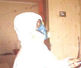 Дезинфекция от плесени и грибков - модель 1