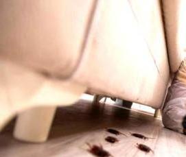 Дезинфекция от тараканов в квартире - вариант 4