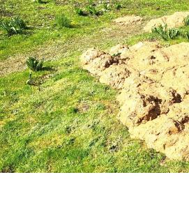 Дезинфекция питьевых колодцев - вариант 1