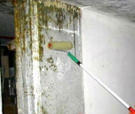 Дезинфекция пола - модель 3