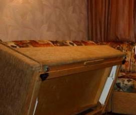 Дезинфекция помещений от клопов - модель 1