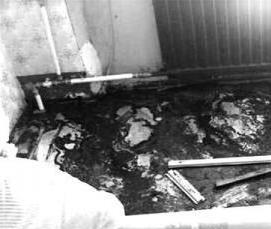 Дезинфекция после ремонта - вариант 2