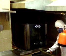 Дезинфекция тараканов с гарантией - модель 2