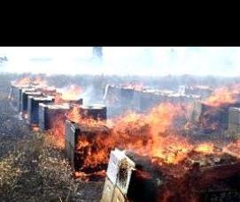 Дезинфекция ульев - тип 3