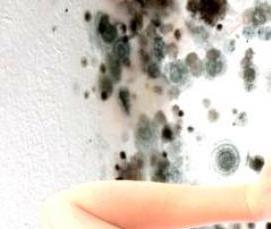 Дезинфекция ванны от грибка - вариант 2